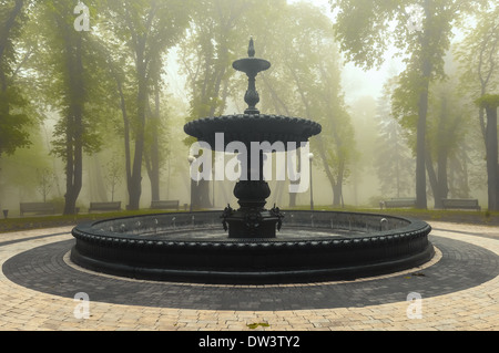 Misty morning in a autumn park. Fallen leaves Stock Photo