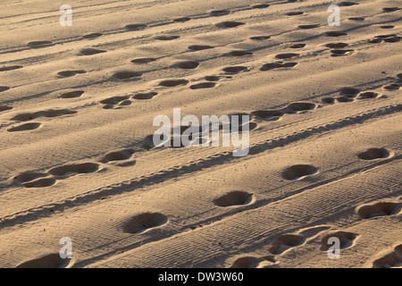 Footprints and tyre tracks in sand at dawn North Steyne Beach Manly Northern Beaches Sydney New South Wales NSW Australia Stock Photo