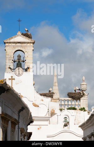 Storks nesting on the Arco Da Vila Farol, Algarve, Portugal Stock Photo