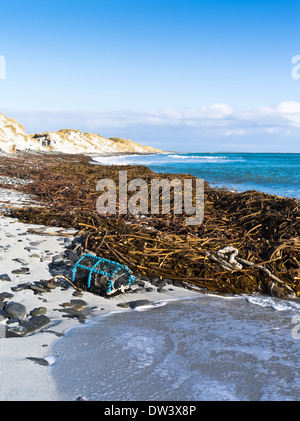 dh Newark Bay SANDAY ORKNEY Kelp beach creel and sand dunes scotland seaweed Stock Photo