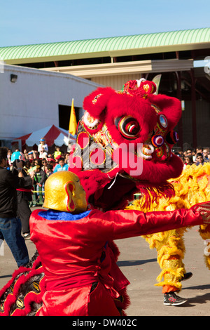 Traditional Vietnamese Lion dance performed at a Tet festival (lunar new year)  California supposedly to ward off evil spirits Stock Photo