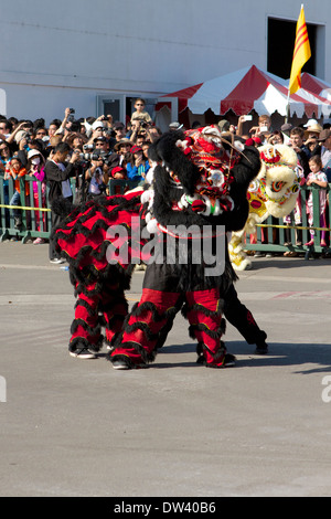 Traditional Vietnamese Lion dance performed at a Tet festival (lunar new year)  California supposedly to ward off evil spirits Stock Photo