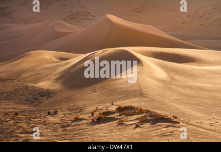 Namibia Northern Desert of Namib Desert tall wonderful sand dunes of Hartmann Berge deserted land Hartmann Valley Marienflub Stock Photo