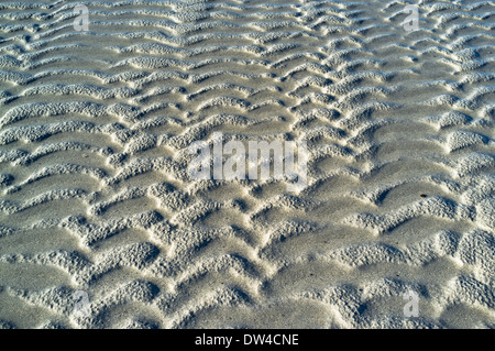 dh  SAND BACKGROUND Abstract sand patterns low tide seabed background pattern close up beach texture Stock Photo