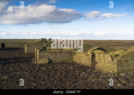 dh  SANDAY ORKNEY Ruined derelict stone croft farm cottage ruins uk buildings building land abandoned farms Stock Photo