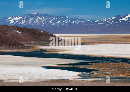View of the Laguna Santa Rosa, Nevado Tres Cruces National Park, Andes, Atacama Region, Chile, South America Stock Photo