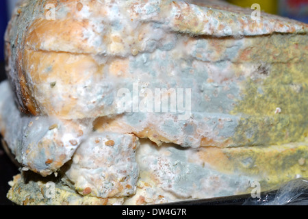 Moldy Bread Stock Photo