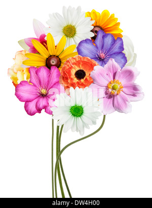 Flowers with petals isolated on white background Stock Photo - Alamy
