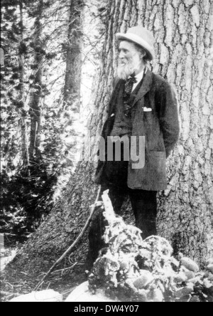 JOHN MUIR (1838-1914) Scottish-American naturalist and wilderness campaigner Stock Photo