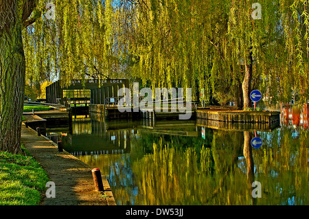 Colin P Witter lockgates on the River Avon at Stratford upon Avon is surrounded by willow trees. Stock Photo