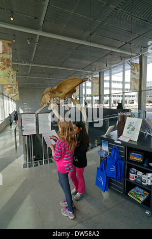 Two elementary age school girls in the Beaty Biodiversity Museum at the University of British Columbia, Vancouver, BC, Canada Stock Photo