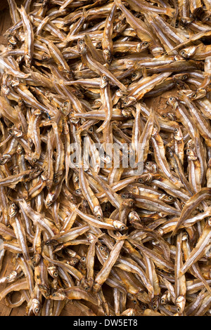 Dried Anchovies on sale at market in Hoi An Stock Photo