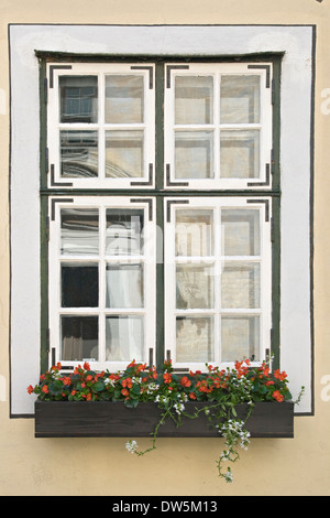 Window with a flowerpot outside in a european town Stock Photo