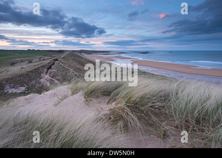 Sand Dunes above Embleton Beach during twilight, Northumberland, England. Spring (May) 2013. Stock Photo