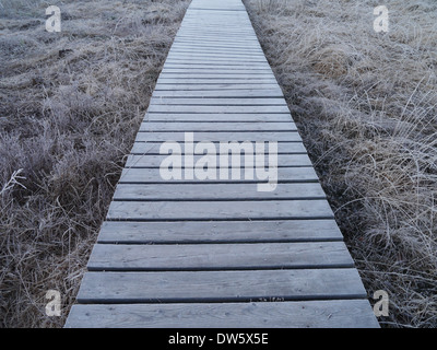 Frozen bog with planked footpath Stock Photo