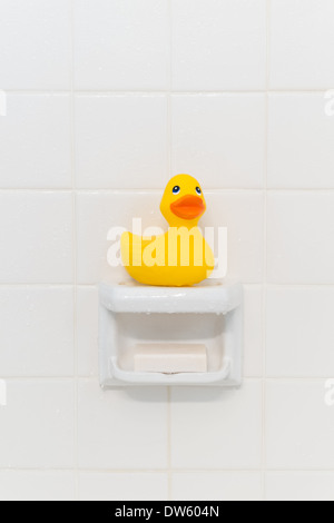 Yellow rubber duck sitting on a soap dish in a shower Stock Photo