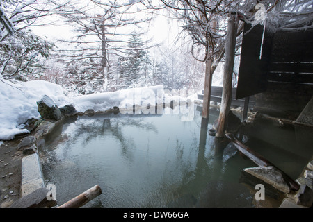 A rotenburo outdoors onsen hot spring in winter and surrounded by snow ...