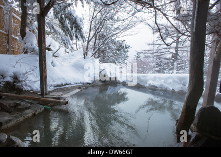 A rotenburo outdoors onsen hot spring in winter and surrounded by snow ...