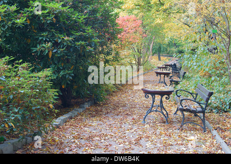 Sunny colofrul autumn day foliage Botanical Garden Wrocław Stock Photo