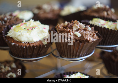 Chocolate and Lemon Cupcakes Stock Photo