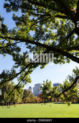 Sheep Meadow with Skyline in background, Central Park, NYC Stock Photo