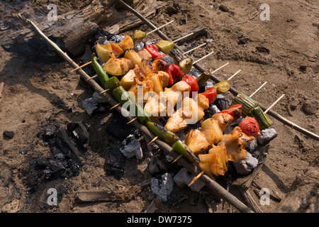 Shish kabobs cooking over a campfire, Vientiane Province, Laos. Stock Photo