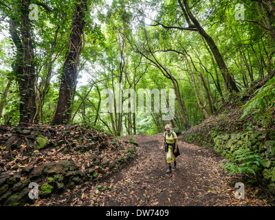 A female tourist hikes on a hiking path in the laurel forest of Los Tiles / Los Tilos on the Canary Island of La Palma Stock Photo