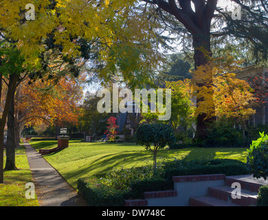 Fall in midtown Sacramento, California. Stock Photo