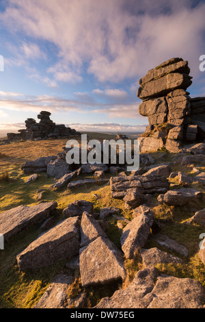 Rich evening sunlight at Great Staple Tor, Dartmoor National Park, Devon, England. Winter (January) 2014. Stock Photo