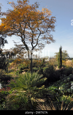 THE DRY GARDEN IN AUTUMN AT RHS HYDE HALL. ESSEX UK. Stock Photo