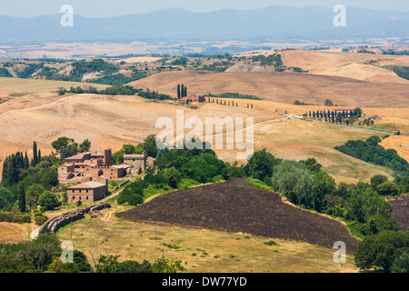 Summer season in Tuscan country, close to Siena Stock Photo