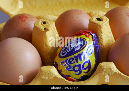 carton of free range eggs with one replaced by a Cadbury creme egg set on white background concept different, standing out from the crowd, odd one out Stock Photo