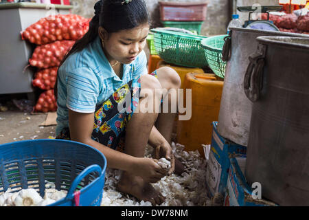 March 2, 2014 - Myawaddy, Kayin, Myanmar - A worker peels garlic in a warehouse in Myawaddy, Myanmar. Myawaddy is separated from the Thai border town of Mae Sot by the Moei River. Myawaddy is the most important trading point between Myanmar (Burma) and Thailand. (Credit Image: © Jack Kurtz/ZUMAPRESS.com) Stock Photo