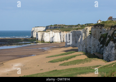 Chalk cliffs at Botany Bay beach at Broadstairs Kent England United Kingdom UK Stock Photo