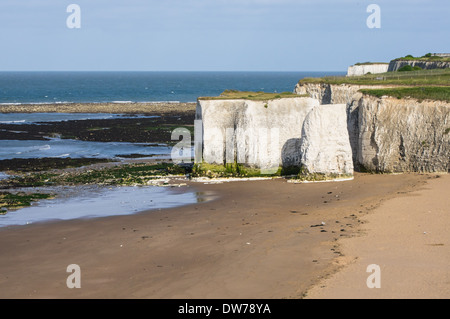 Chalk cliffs at Botany Bay beach at Broadstairs Kent England United Kingdom UK Stock Photo