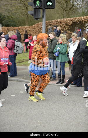 Reading half marathon 2014 Stock Photo