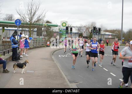 Reading half marathon 2014 Stock Photo