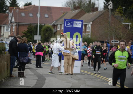 Reading half marathon 2014 Stock Photo