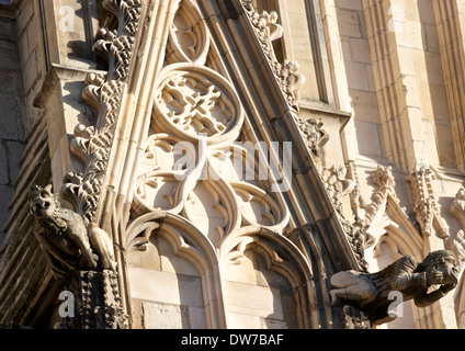 Gargoyles on the exterior of Gothic grade 1 Listed York Minster north Yorkshire England Europe Stock Photo