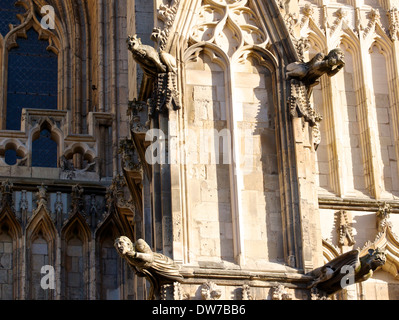 Gargoyles on exterior of grade 1 Listed Gothic York Minster north Yorkshire England Europe Stock Photo