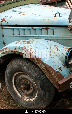 Wheel, mud-guard and car hood Stock Photo