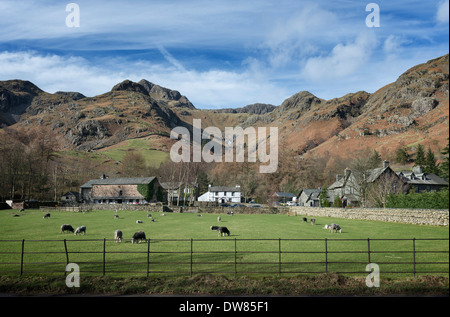 The Old Dungeon Ghyll, Langdale Stock Photo