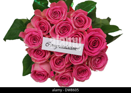 Congratulations card with pink roses isolated on white Stock Photo