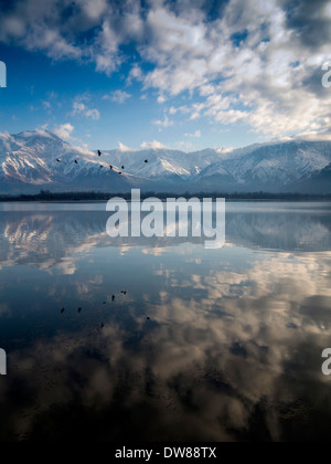 India, Kashmir, Srinagar, winter snow covered Zabarwan mountains reflected in Dal Lake