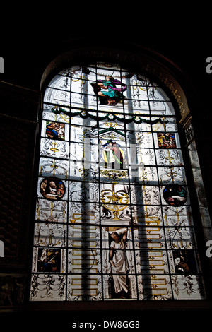 https://l450v.alamy.com/450v/dw8gg8/stained-glass-windows-at-the-victoria-albert-museum-dw8gg8.jpg