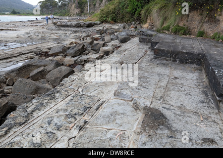 Pan formation, Tessellated pavement - cracked siltstone marine platform near Eaglehawk Neck, Port Arthur, Tasmania, Australia Stock Photo