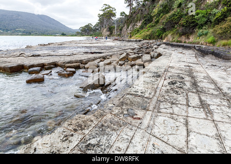 Pan formation, Tessellated pavement - cracked siltstone marine platform near Eaglehawk Neck, Port Arthur, Tasmania, Australia Stock Photo