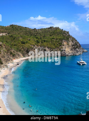 Swimmers and snorkelers at Shell Beach in Gustavia on St. Barts Stock Photo