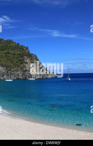 Shell Beach in Gustavia on St. Barts Stock Photo