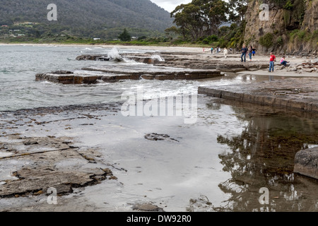 Tessellated pavement - cracked siltstone marine platform near Eaglehawk Neck, Port Arthur, Tasmania, Australia Stock Photo
